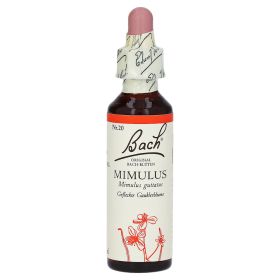 Bachblüten Mimulus Tropfen – PZN 114904 (PZN 114904) из Германии