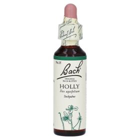 Bachblüten Holly Tropfen – PZN 59909 (PZN 59909) из Германии