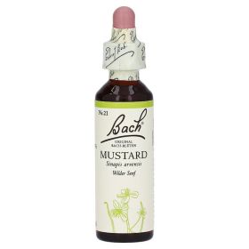 Bachblüten Mustard Tropfen – PZN 114910 (PZN 114910) из Германии