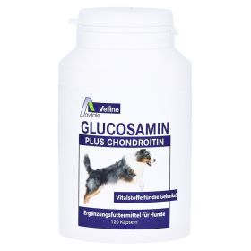 Avitale Glucosamin + Chondroitin für Hunde – PZN 3025791 (PZN 3025791) из Германии