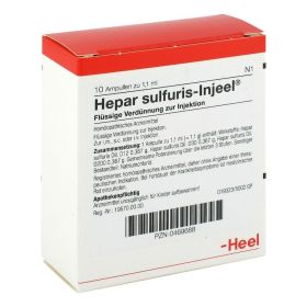 HEPAR SULFURIS INJEEL Ampullen – PZN 469688 (PZN 469688) из Германии