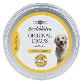 BACHBLÜTEN Original Hunde Drops nach Dr.Bach – PZN 10111396 (PZN 10111396) из Германии