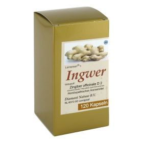 INGWER KAPSELN – PZN 1316395 (PZN 1316395) из Германии