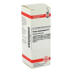 FUCUS VESICULOSUS D 2 Dilution – PZN 2116965 (PZN 2116965) из Германии