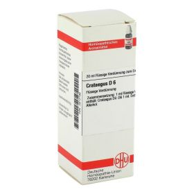 CRATAEGUS D 6 Dilution – PZN 2612196 (PZN 2612196) из Германии