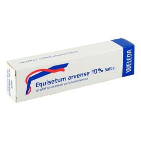 EQUISETUM ARVENSE 10% Salbe – PZN 2593435 (PZN 2593435) из Германии