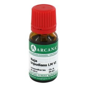NAJA TRIPUDIANS LM 6 Dilution – PZN 2602973 (PZN 2602973) из Германии