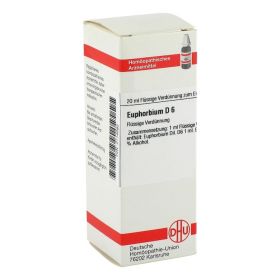 EUPHORBIUM D 6 Dilution – PZN 2114280 (PZN 2114280) из Германии