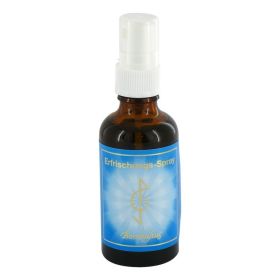 ERFRISCHUNGSSPRAY – PZN 2259096 (PZN 2259096) из Германии