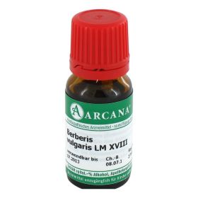 BERBERIS VULGARIS LM 18 Dilution – PZN 2600945 (PZN 2600945) из Германии