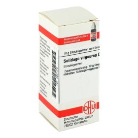 SOLIDAGO VIRGAUREA D 4 Globuli – PZN 2931470 (PZN 2931470) из Германии