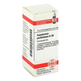 EUPATORIUM PERFOLIATUM D 30 Globuli – PZN 3631617 (PZN 3631617) из Германии