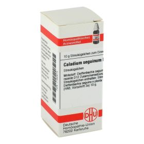 CALADIUM seguinum D 12 Globuli – PZN 7162674 (PZN 7162674) из Германии