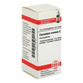 EQUISETUM ARVENSE C 30 Globuli – PZN 7167157 (PZN 7167157) из Германии