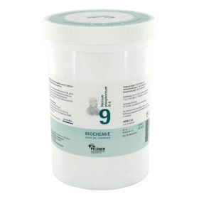 BIOCHEMIE Pflüger 9 Natrium phosphoricum D 6 Tabl. – PZN 6319665 (PZN 6319665) из Германии
