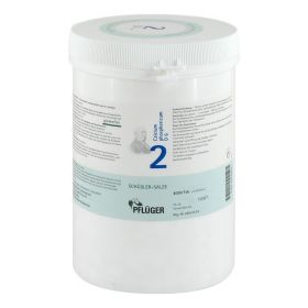 BIOCHEMIE Pflüger 2 Calcium phosphoricum D 6 Tabl. – PZN 6318803 (PZN 6318803) из Германии