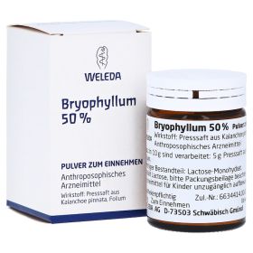 BRYOPHYLLUM 50% Pulver zum Einnehmen – PZN 2591904 (PZN 2591904) из Германии