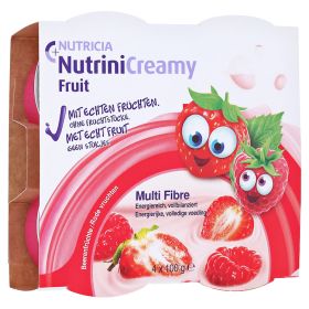 NUTRINI Creamy Fruit Beerenfrüchte – PZN 10356086 (PZN 10356086) из Германии