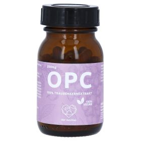 BSF Nutrition OPC 100% Traubenkernextr.100% vegan – PZN 16244075 (PZN 16244075) из Германии