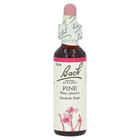 Bachblüten Pine Tropfen – PZN 125925 (PZN 125925) из Германии