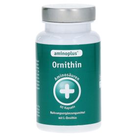 AMINOPLUS Ornithin Kapseln – PZN 6144970 (PZN 6144970) из Германии