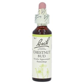 Bachblüten Chestnut Bud Tropfen – PZN 47734 (PZN 47734) из Германии