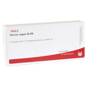 NERVUS VAGUS GL D 6 Ampullen – PZN 3355353 (PZN 3355353) из Германии