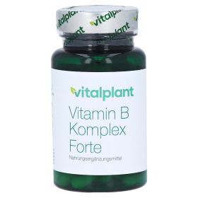 VITAMIN B COMPLEX Forte Vitalplant Kapseln – PZN 12504303 (PZN 12504303) из Германии