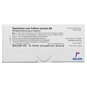 EQUISETUM CUM Sulfure tostum D 6 Ampullen – PZN 1621945 (PZN 1621945) из Германии