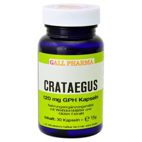CRATAEGUS 120 mg GPH Kapseln – PZN 3435359 (PZN 3435359) из Германии