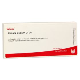 MEDULLA OSSIUM GL D 6 Ampullen – PZN 3356140 (PZN 3356140) из Германии