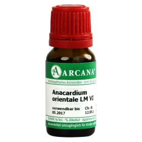 ANACARDIUM ORIENTALE LM 6 Dilution – PZN 7539067 (PZN 7539067) из Германии