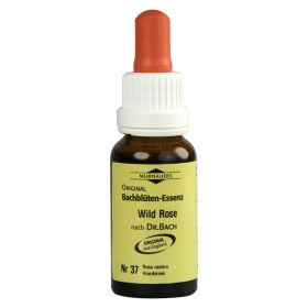 BACHBLÜTEN Murnauer Tropfen Wild Rose – PZN 7752683 (PZN 7752683) из Германии