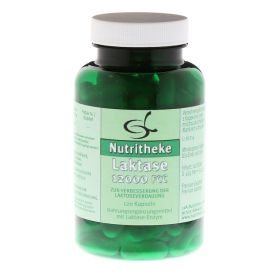 LAKTASE 12.000 FCC Kapseln – PZN 1466350 (PZN 1466350) из Германии