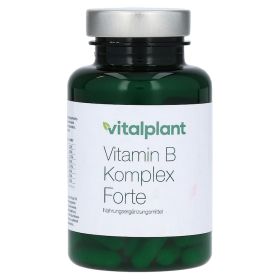 VITAMIN B COMPLEX Forte Vitalplant Kapseln – PZN 12504326 (PZN 12504326) из Германии