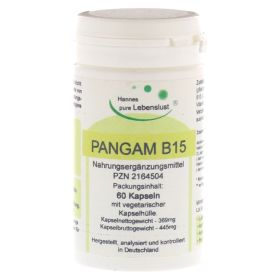 PANGAM Vitamin B15 Kapseln – PZN 2164504 (PZN 2164504) из Германии