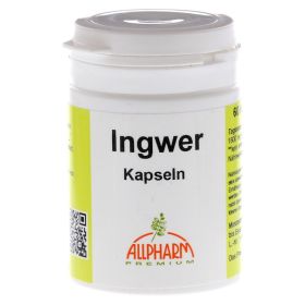 INGWER KAPSELN 300 mg – PZN 2771380 (PZN 2771380) из Германии