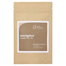 Terra Elements Bio Astragalus Kapseln 400 mg – PZN 80000917 (PZN 80000917) из Германии