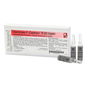 GLANDULAE-F-Gastreu R20 Injekt Ampullen – PZN 2496666 (PZN 2496666) из Германии