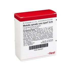 MEDULLA SPINALIS suis Injeel forte Ampullen – PZN 664361 (PZN 664361) из Германии