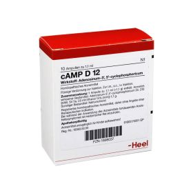 CAMP D 12 Ampullen – PZN 1698037 (PZN 1698037) из Германии