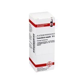 CONVALLARIA MAJALIS D 6 Dilution – PZN 2128230 (PZN 2128230) из Германии