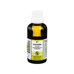PULSATILLA KOMPLEX Nestmann 87 Dilution – PZN 1910566 (PZN 1910566) из Германии