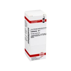 ECHINACEA HAB D 1 Dilution – PZN 2113932 (PZN 2113932) из Германии