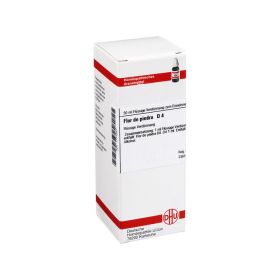 FLOR DE PIEDRA D 4 Dilution – PZN 1771047 (PZN 1771047) из Германии