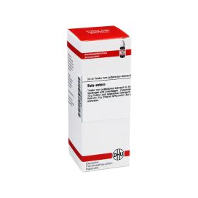 RUTA EXTERN Extrakt – PZN 2930482 (PZN 2930482) из Германии