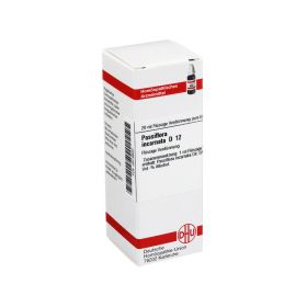 PASSIFLORA INCARNATA D 12 Dilution – PZN 2619620 (PZN 2619620) из Германии