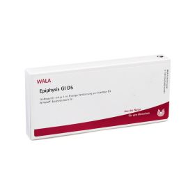 EPIPHYSIS GL D 5 Ampullen – PZN 3357458 (PZN 3357458) из Германии