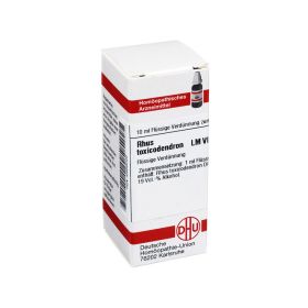 LM RHUS toxicodendron VI Dilution – PZN 2669049 (PZN 2669049) из Германии