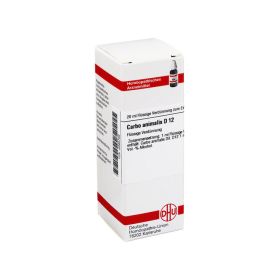 CARBO ANIMALIS D 12 Dilution – PZN 2895722 (PZN 2895722) из Германии